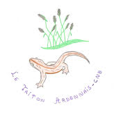 Le triton ardennais