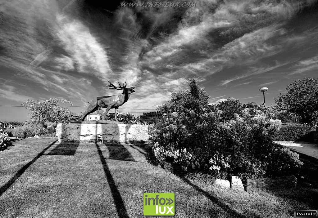images/PORTRAITS/Arlon/Postal/Arlon/DSC_2467