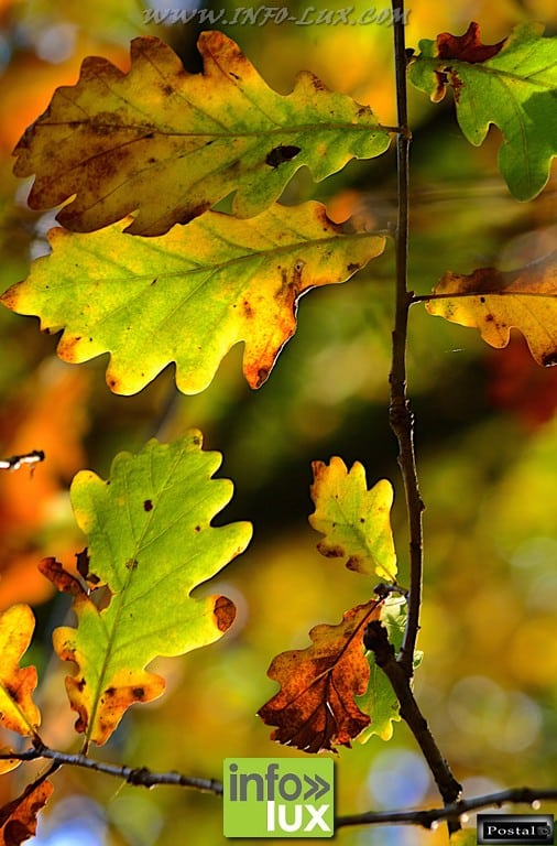 images/PORTRAITS/Arlon/Postal/Nature/DSC_9376