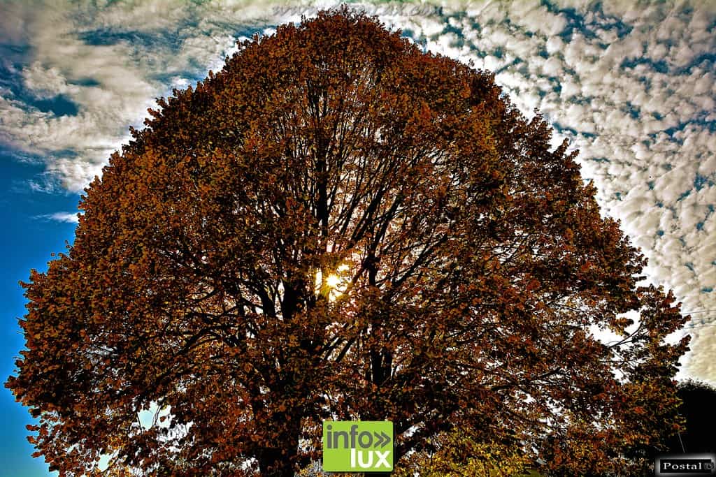 images/PORTRAITS/Arlon/Postal/Nature/DSC_9560