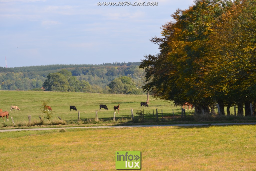 images/stories/PHOTOSREP/Leglise/gourmande/MArchej008