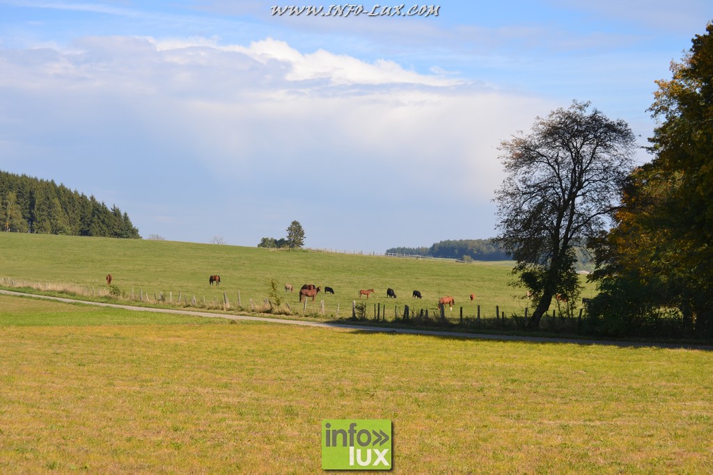 images/stories/PHOTOSREP/Leglise/gourmande/MArchej009
