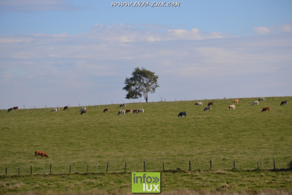 images/stories/PHOTOSREP/Leglise/gourmande/MArchej013