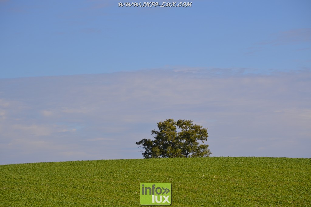 images/stories/PHOTOSREP/Leglise/gourmande/MArchej025
