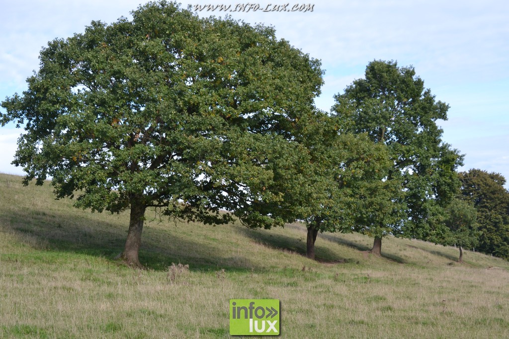 images/stories/PHOTOSREP/Leglise/gourmande/MArchej031