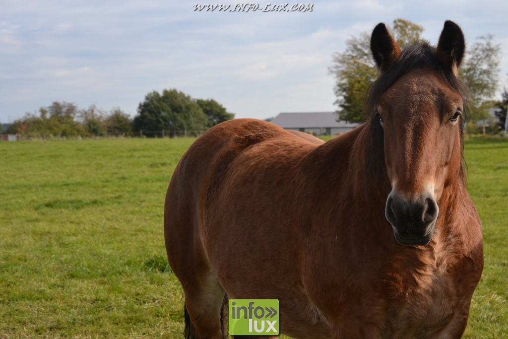 images/stories/PHOTOSREP/Leglise/gourmande/MArchej034