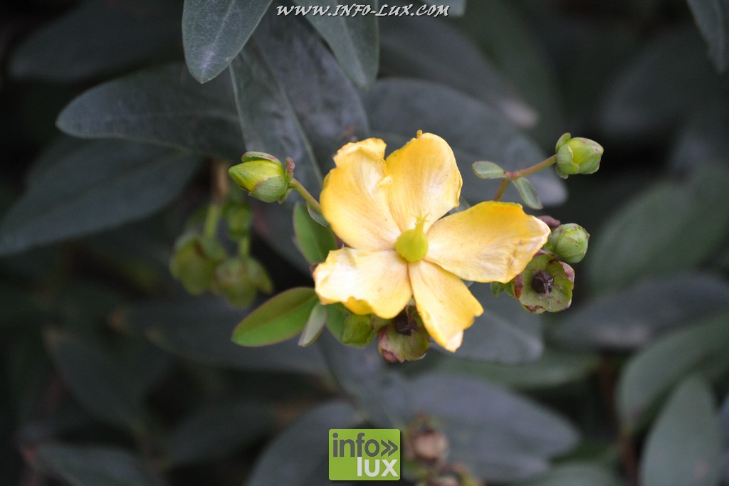 images/stories/PHOTOSREP/Leglise/gourmande/MArchej044