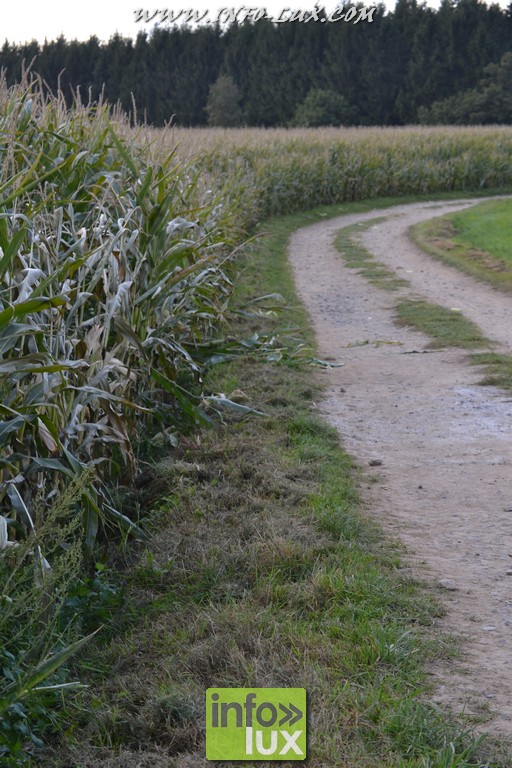 images/stories/PHOTOSREP/Leglise/gourmande/MArchej051