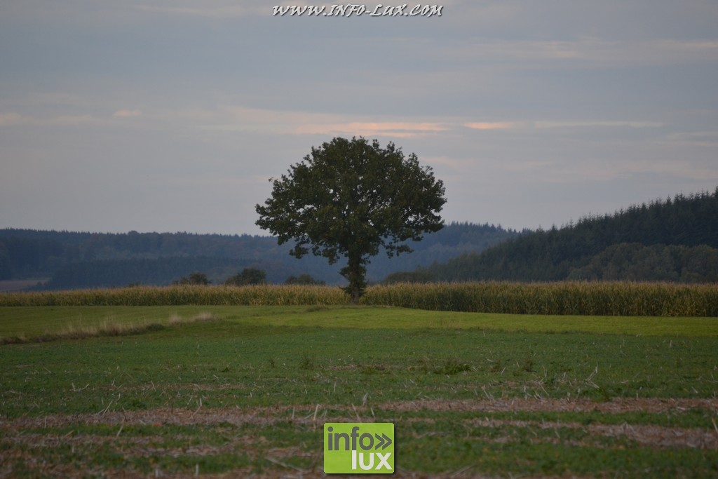 images/stories/PHOTOSREP/Leglise/gourmande/MArchej052