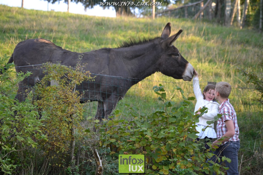 images/stories/PHOTOSREP/Leglise/gourmande/MArchej087