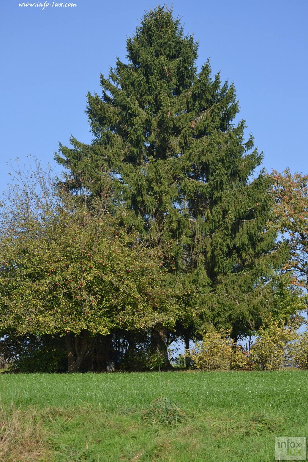 images/stories/PHOTOSREP/Leglise/gourmande/leglisel06