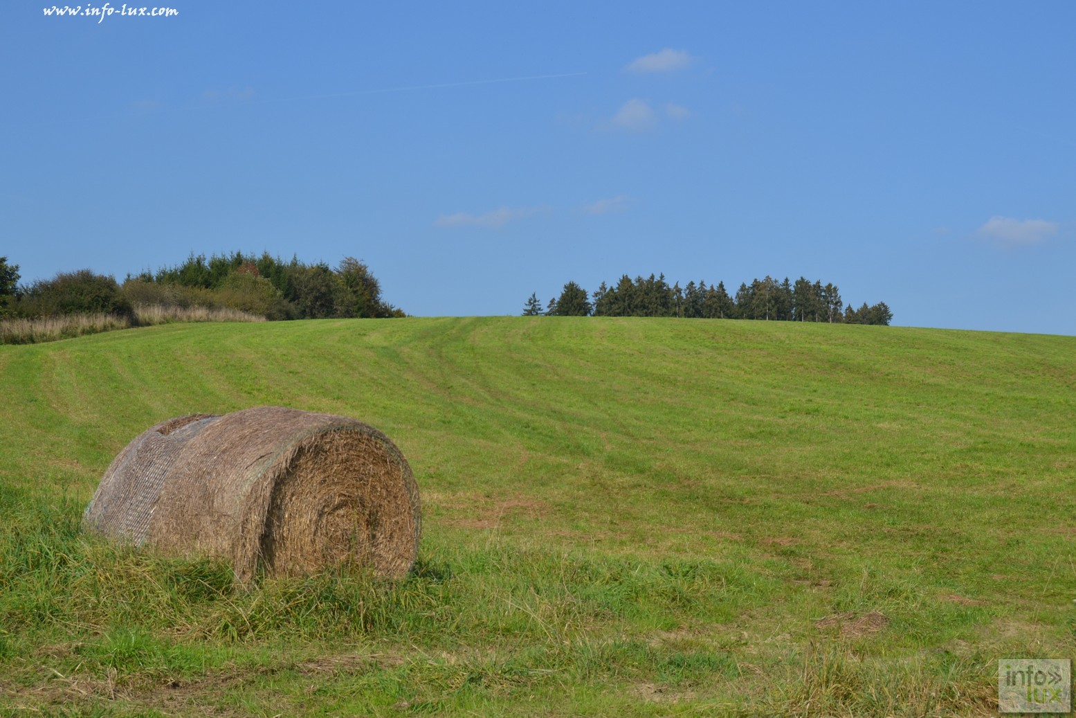 images/stories/PHOTOSREP/Leglise/gourmande/leglisel13