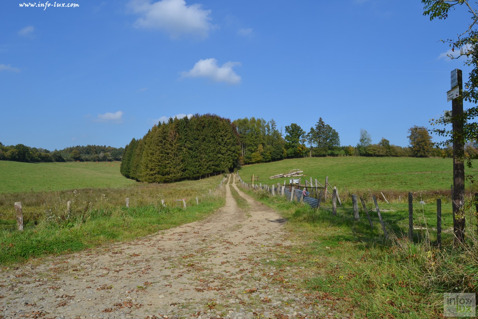 images/stories/PHOTOSREP/Leglise/gourmande/leglisel16