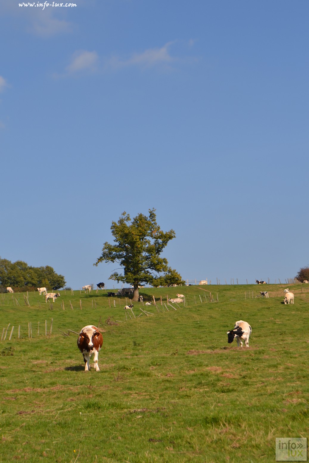 images/stories/PHOTOSREP/Leglise/gourmande/leglisel20