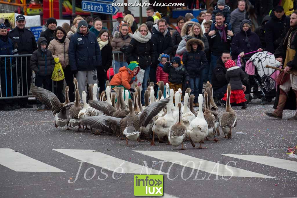 images/stories/PHOTOSREP/Arlon/2016Carnaval/Jose1/Arlon-Carna0038