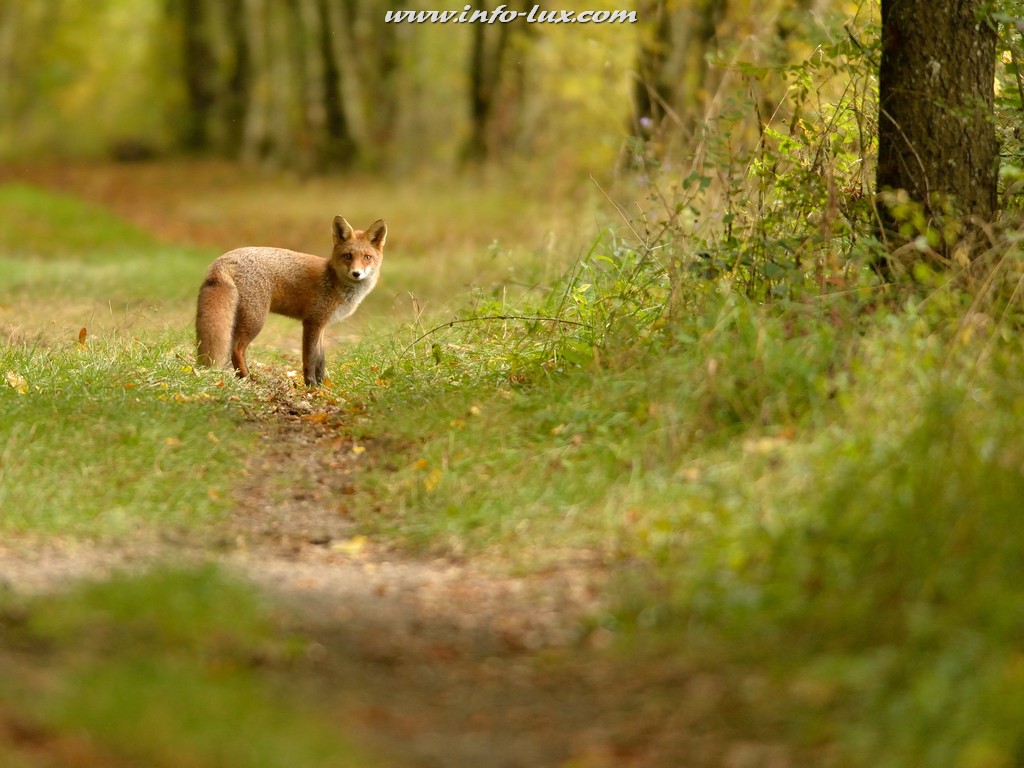 images/stories/PORTRAITS/Arlon/David/David037