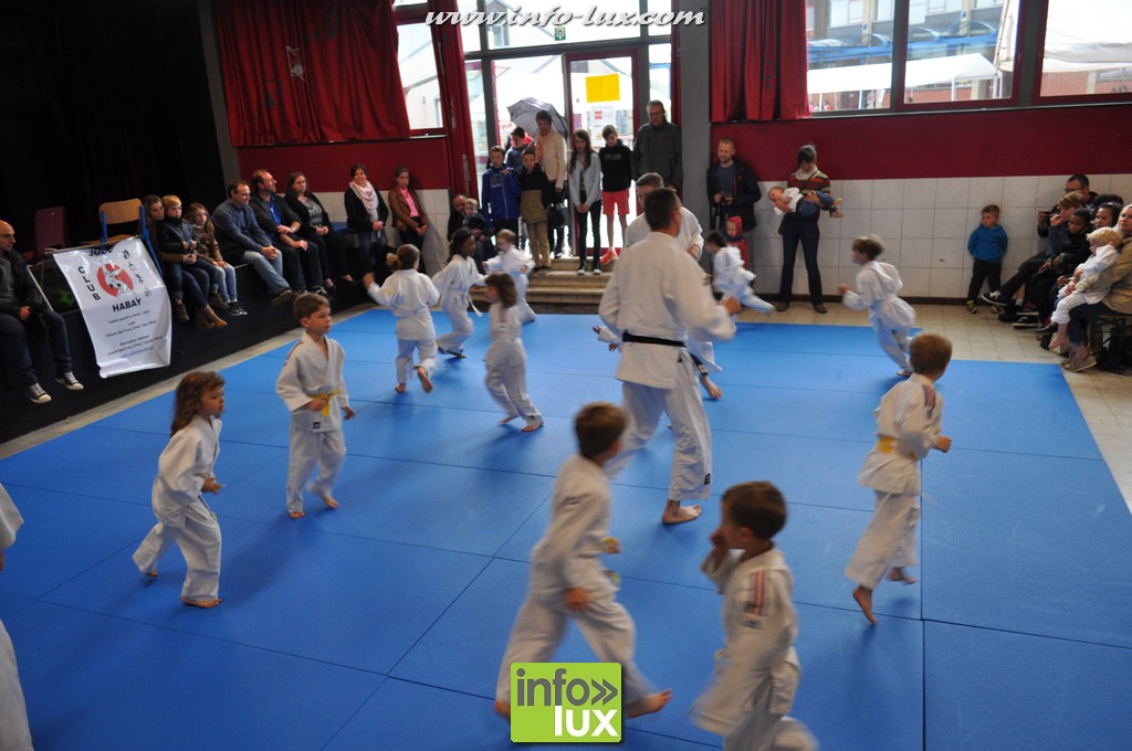images/stories/PHOTOSREP/2016Mai/Judo-habay/Judo-v00016