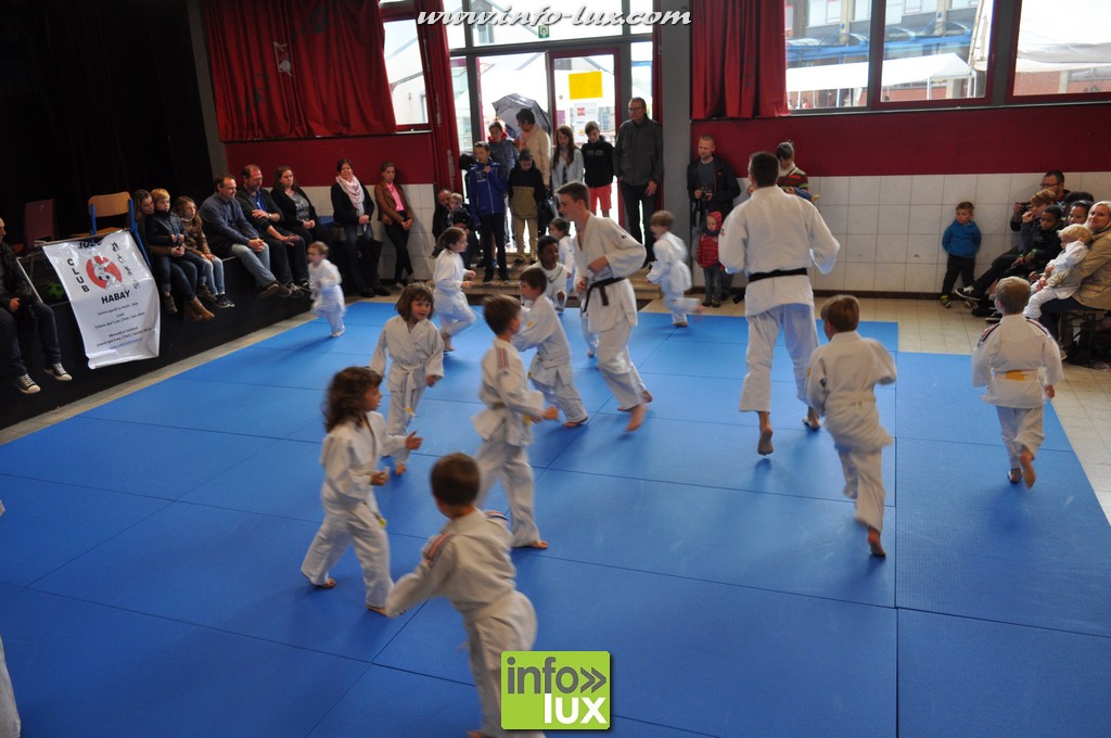 images/stories/PHOTOSREP/2016Mai/Judo-habay/Judo-v00017