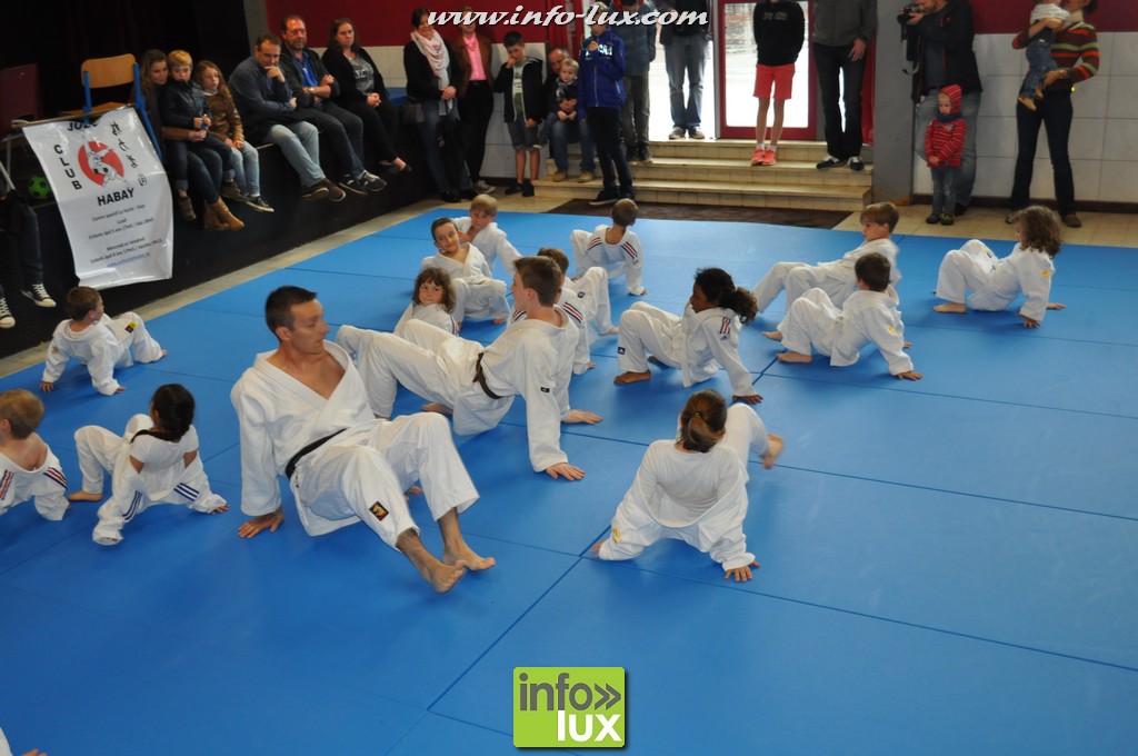 images/stories/PHOTOSREP/2016Mai/Judo-habay/Judo-v00020