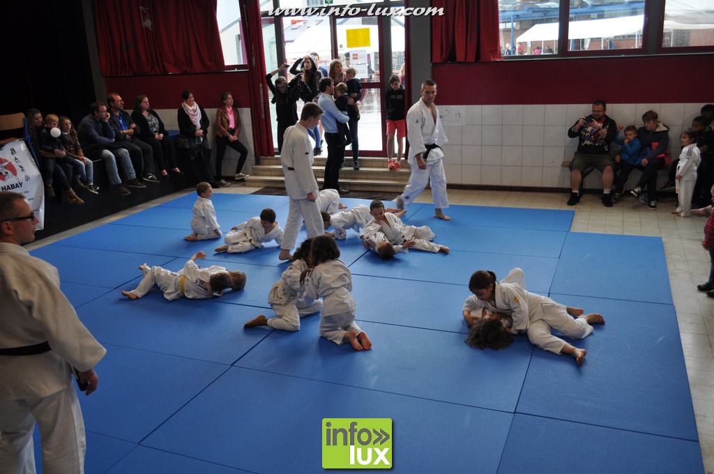 images/stories/PHOTOSREP/2016Mai/Judo-habay/Judo-v00021
