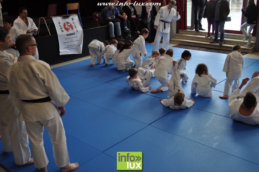 images/stories/PHOTOSREP/2016Mai/Judo-habay/Judo-v00024