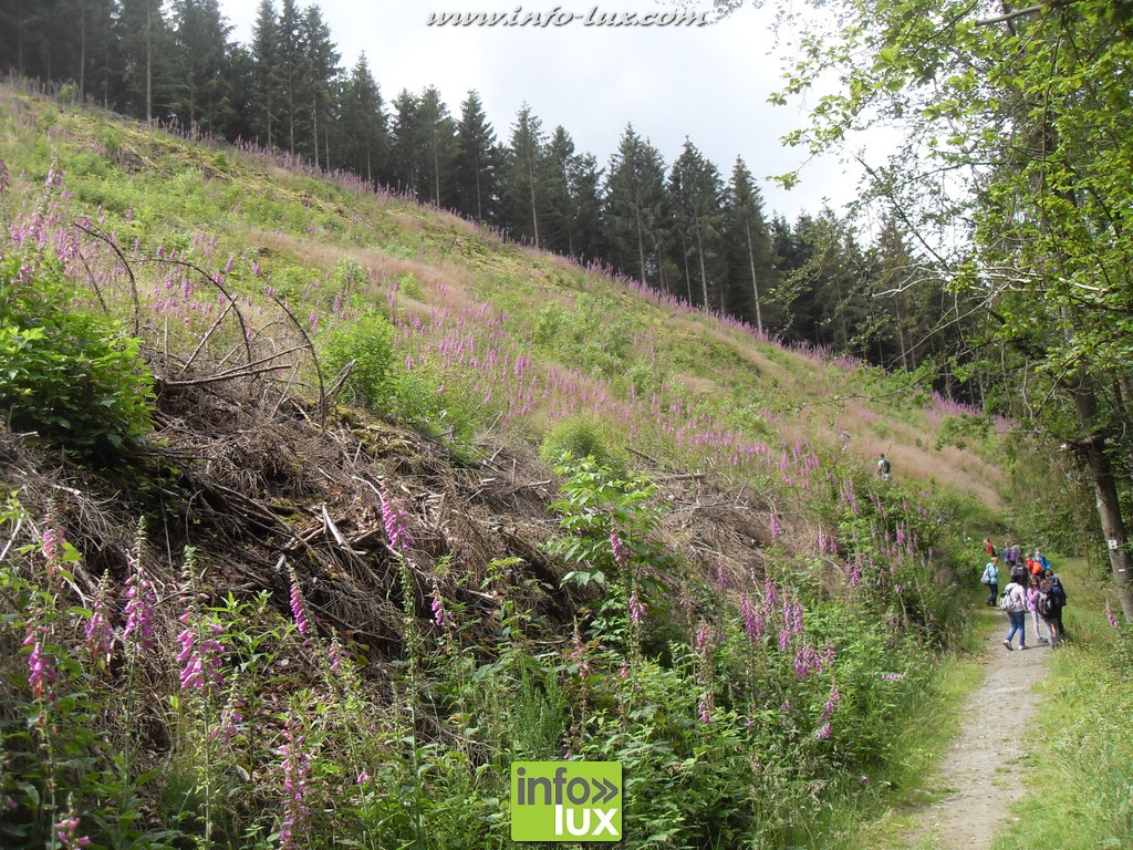 images/stories/PHOTOSREP/2016juillet/Stages/partie1/Stage06