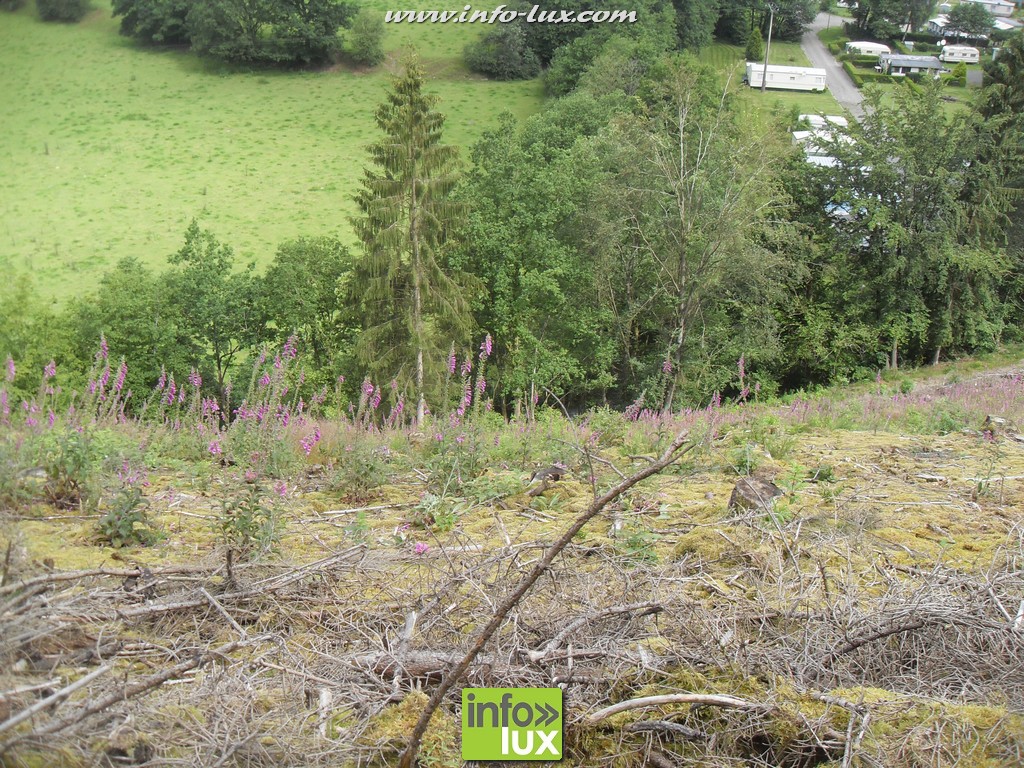 images/stories/PHOTOSREP/2016juillet/Stages/partie1/Stage40
