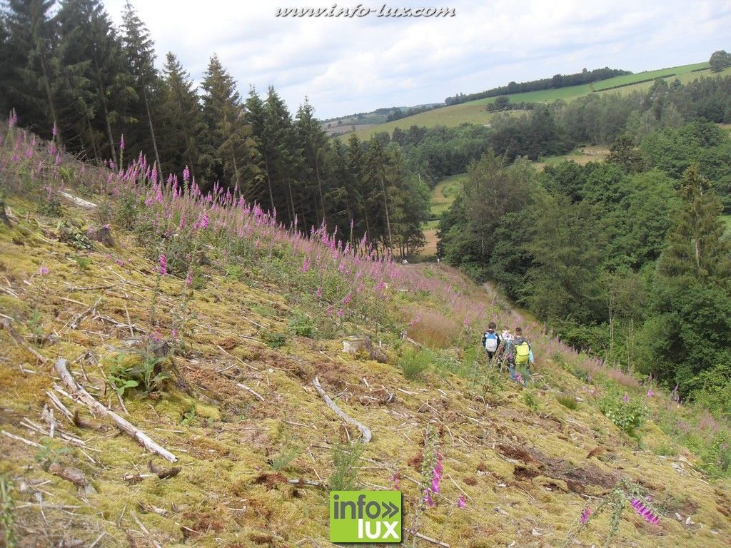 images/stories/PHOTOSREP/2016juillet/Stages/partie1/Stage72