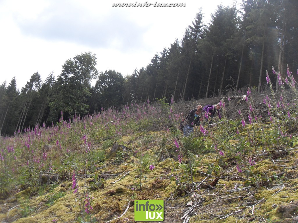 images/stories/PHOTOSREP/2016juillet/Stages/partie1/Stage74