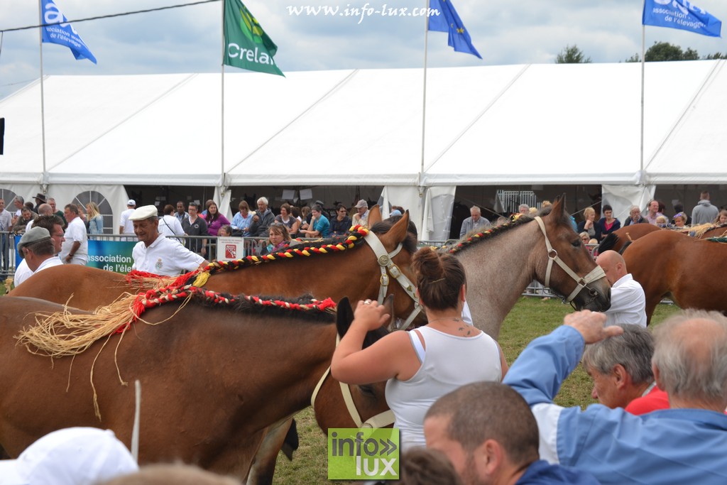 images/stories/PHOTOSREP/Libramont-Chevigny/Foire-libramont2/foirelibramont053