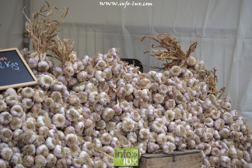 images/stories/PHOTOSREP/Libramont-Chevigny/Foire-libramont2/foirelibramont328