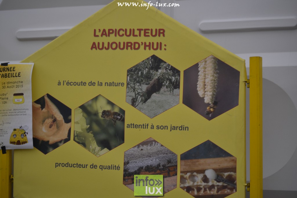 images/stories/PHOTOSREP/Libramont-Chevigny/Foire-libramont2/foirelibramont381