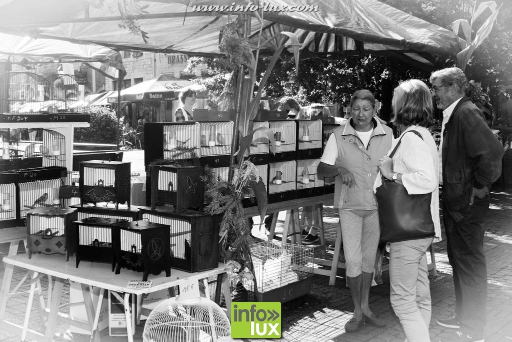 images/stories/PHOTOSREP/2016Aout/1900-Marche/1900-Marche143
