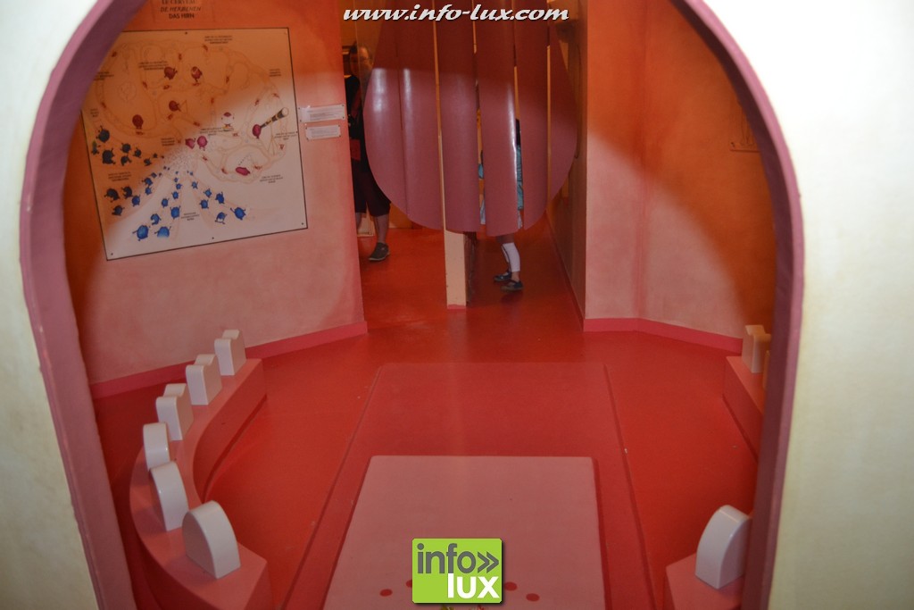 images/stories/PHOTOSREP/2016Aout/Houtopia/HoutopiaL01