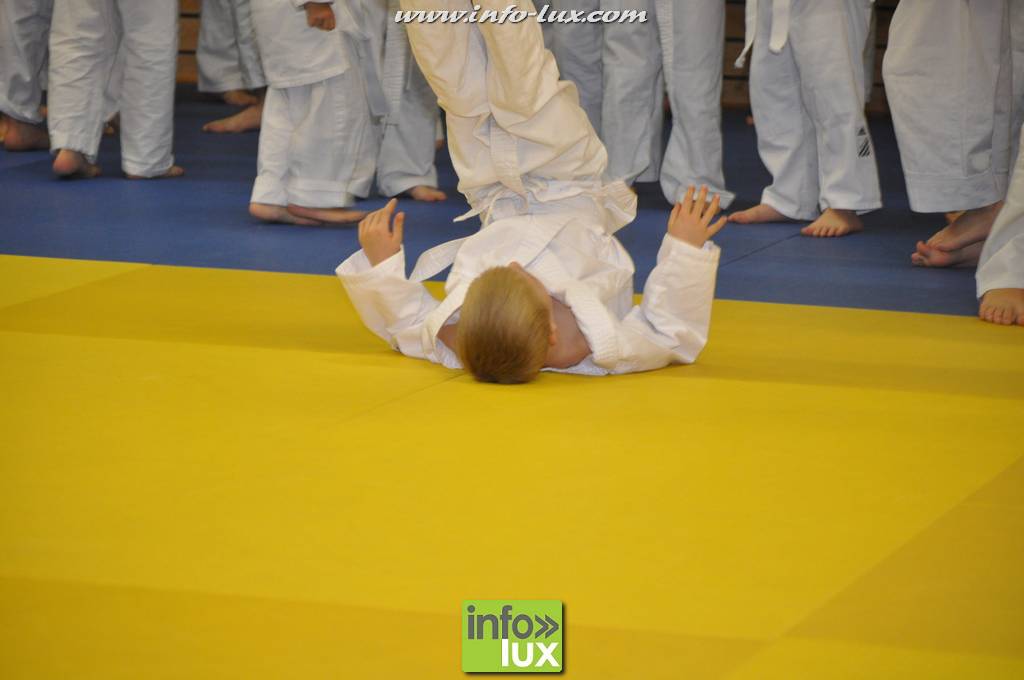 images/stories/PHOTOSREP/2016decembre/nicolasjudo/Judo053