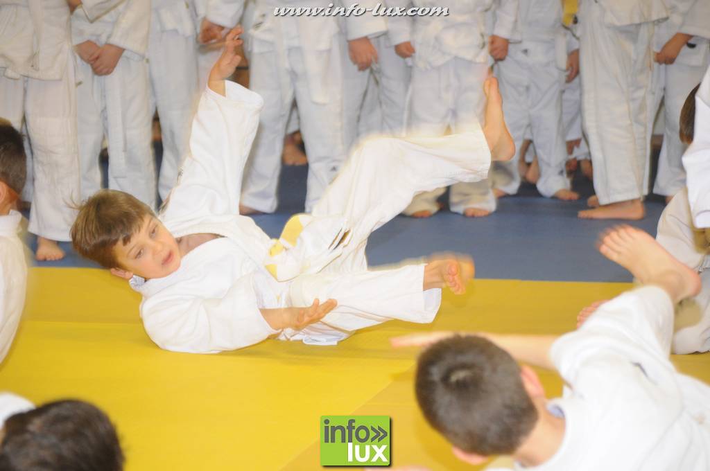images/stories/PHOTOSREP/2016decembre/nicolasjudo/Judo058