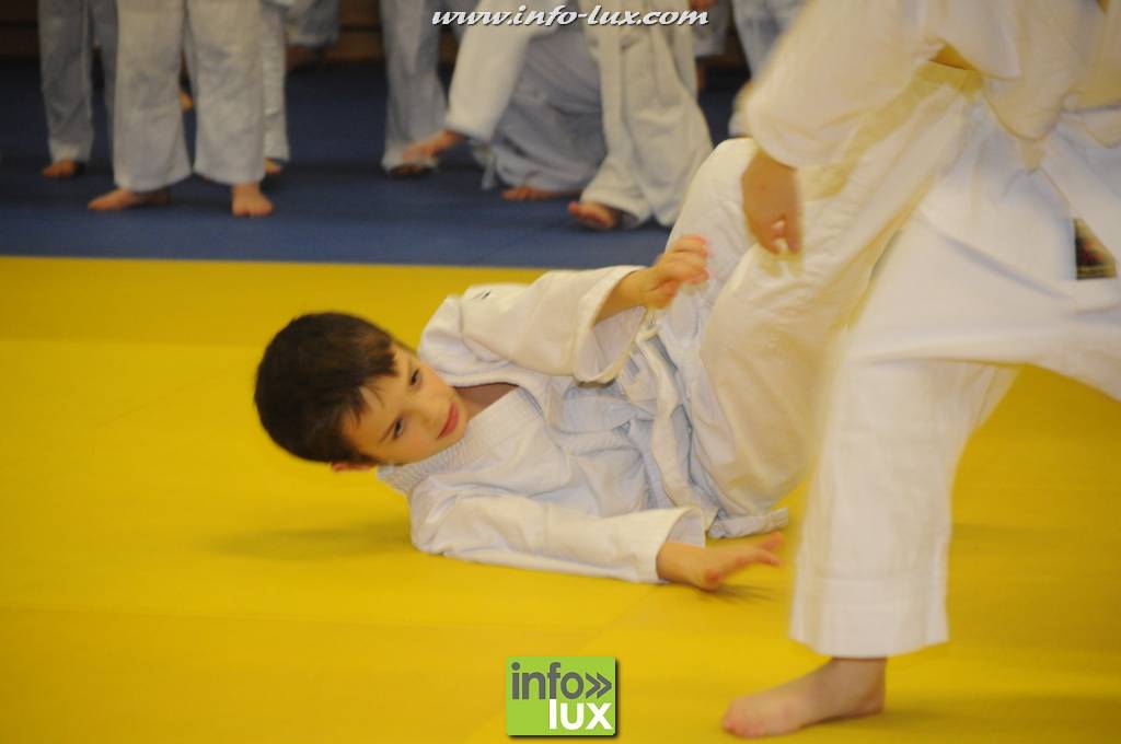images/stories/PHOTOSREP/2016decembre/nicolasjudo/Judo060