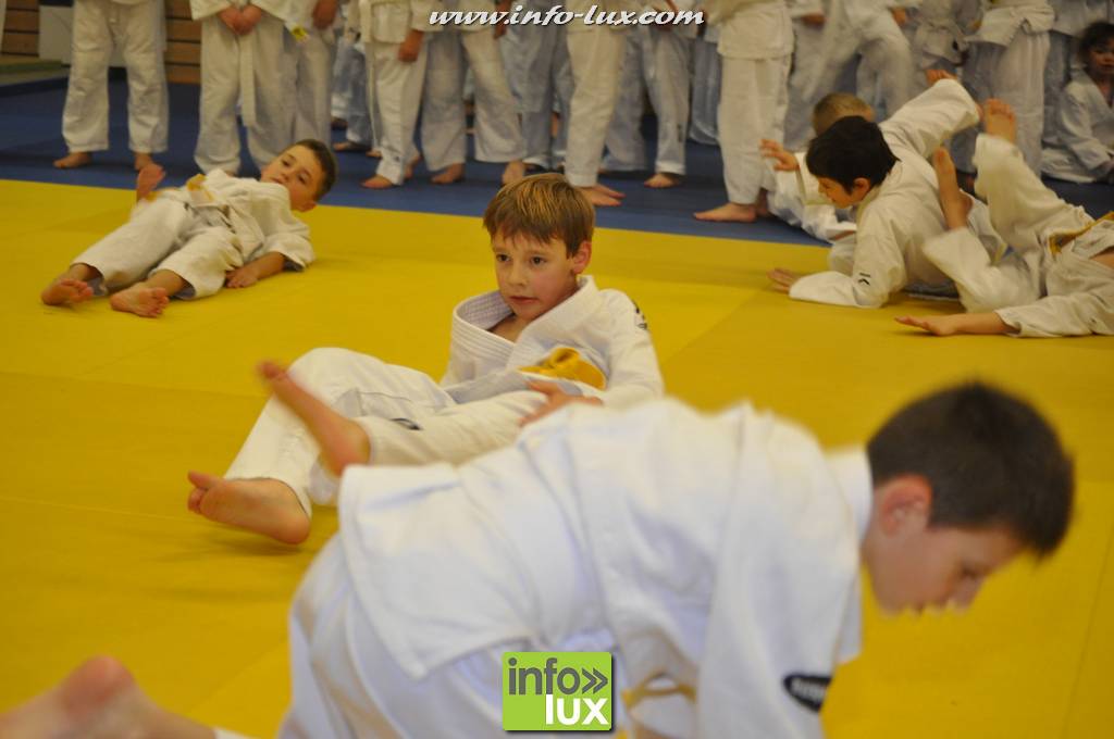 images/stories/PHOTOSREP/2016decembre/nicolasjudo/Judo067