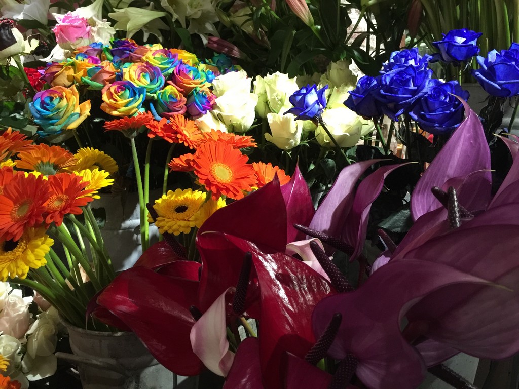 images/stories/PHOTOSREP/2017fevrier/thierry_trillet/fleurs00010