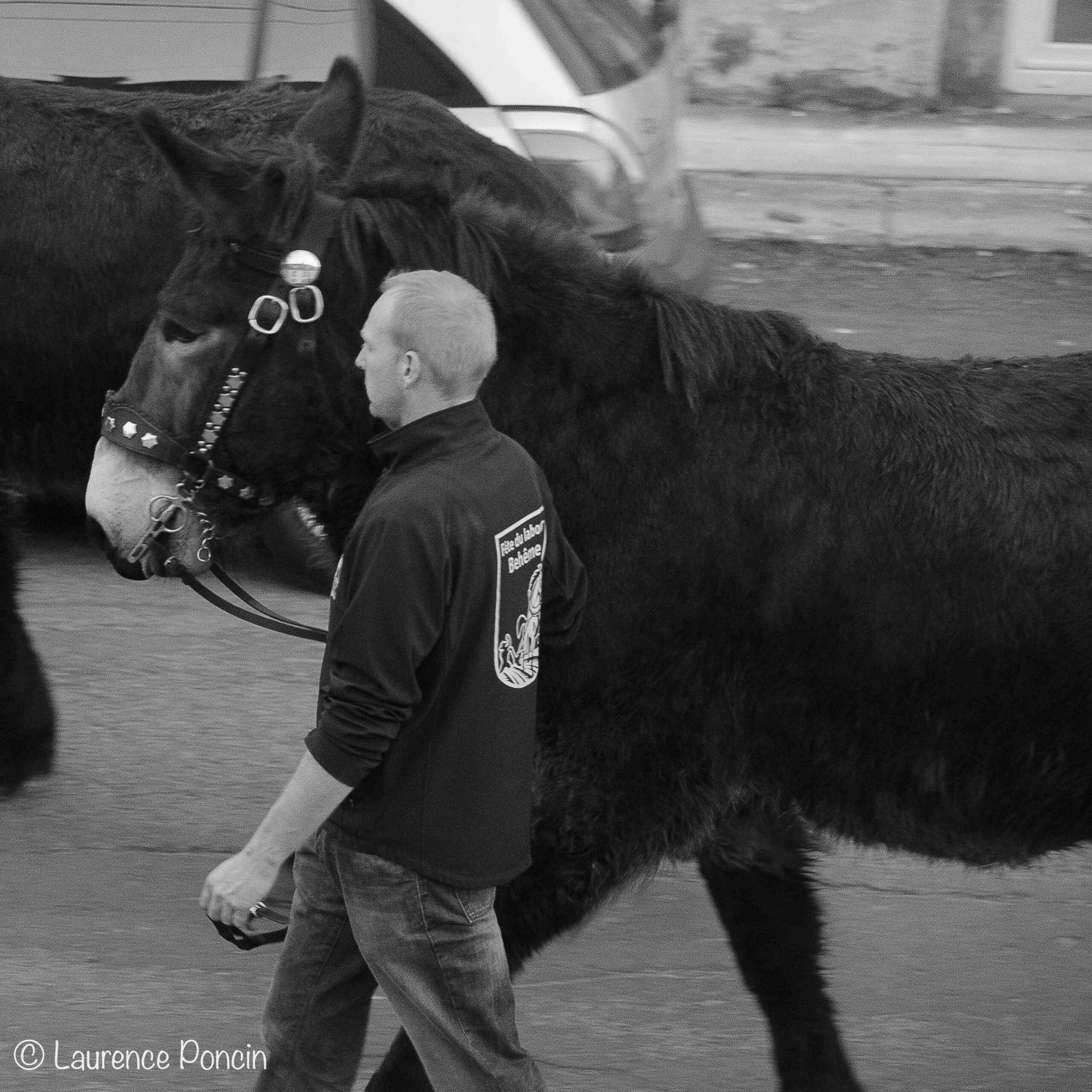 //media/jw_sigpro/users/0000002529/reportagehabay/DSC_9306-1LP