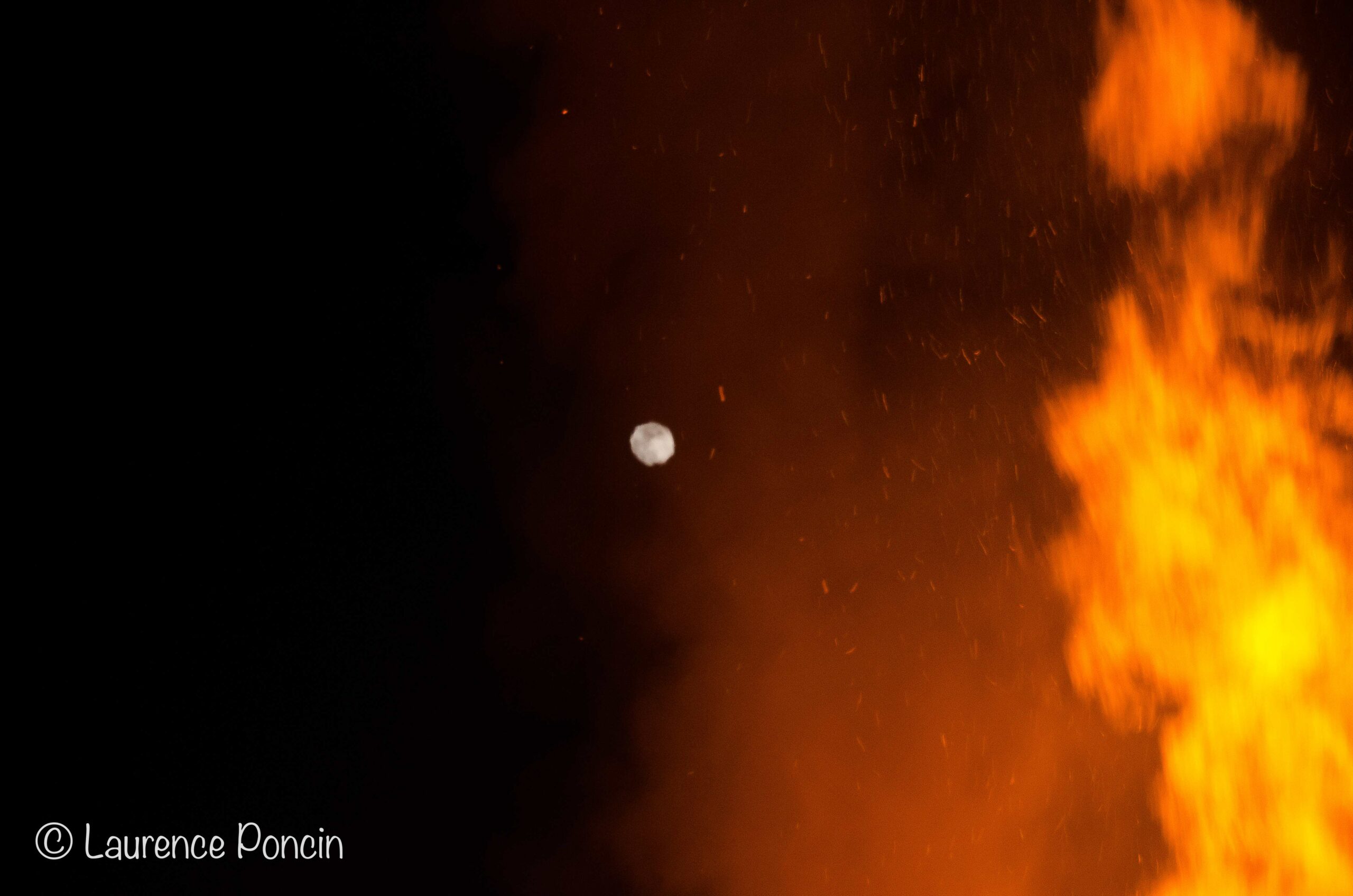 //media/jw_sigpro/users/0000002529/reportagehabay/DSC_9346-1LP