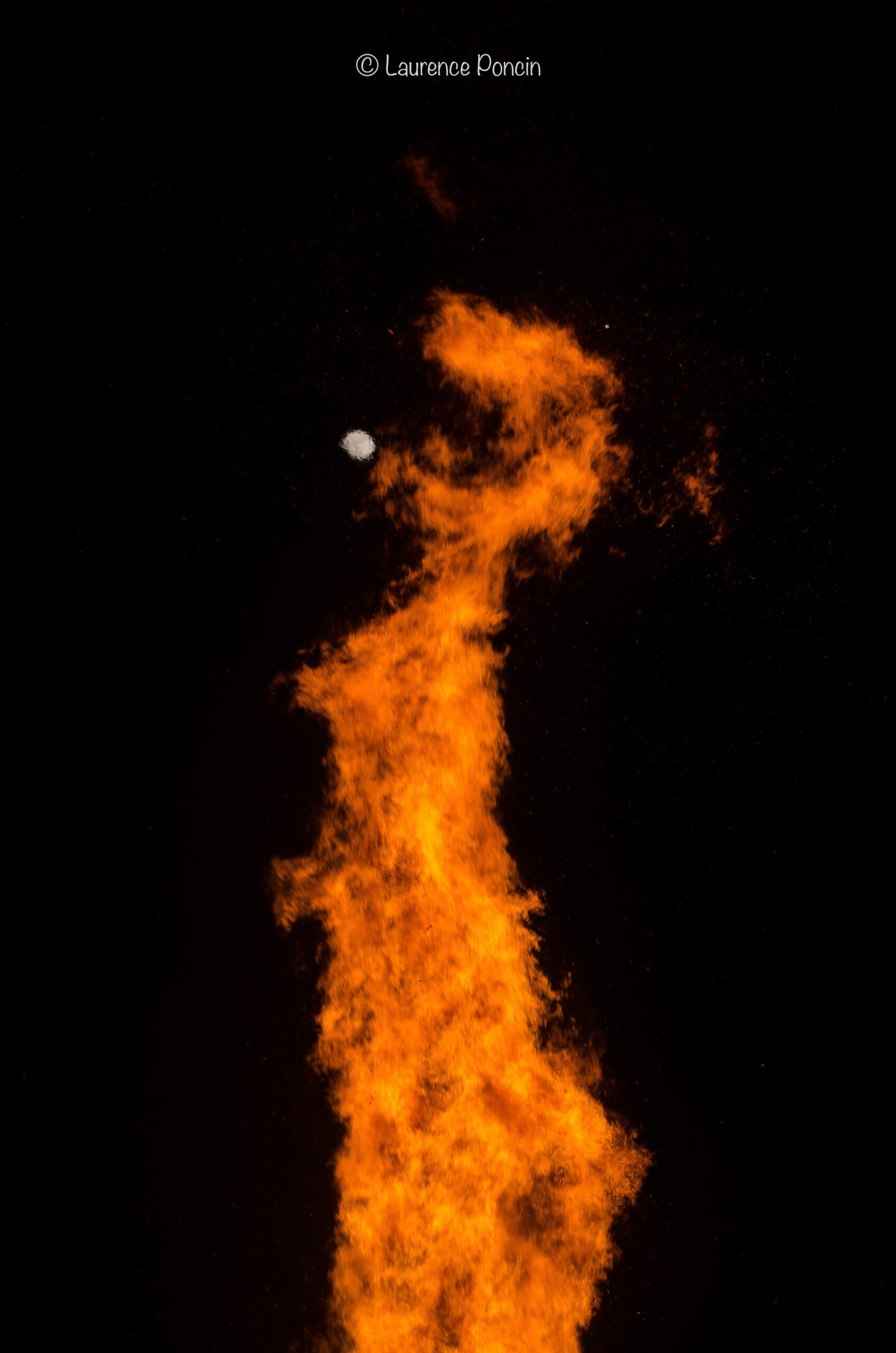 //media/jw_sigpro/users/0000002529/reportagehabay/DSC_9365-1LP