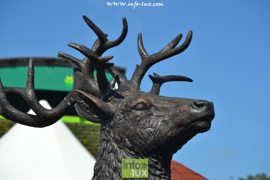 images/stories/PHOTOSREP/Libramont-Chevigny/Foire-libramont2/foirelibramont008