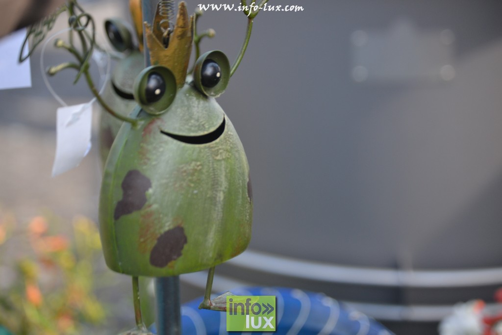 images/stories/PHOTOSREP/Libramont-Chevigny/Foire-libramont2/foirelibramont017