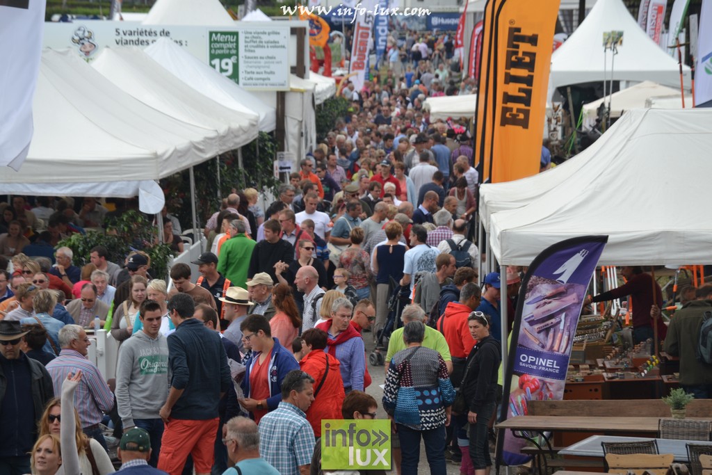 images/stories/PHOTOSREP/Libramont-Chevigny/Foire-libramont2/foirelibramont050