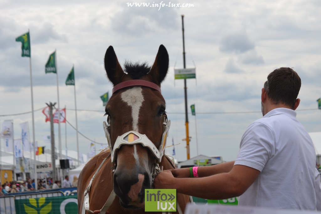 images/stories/PHOTOSREP/Libramont-Chevigny/Foire-libramont2/foirelibramont051