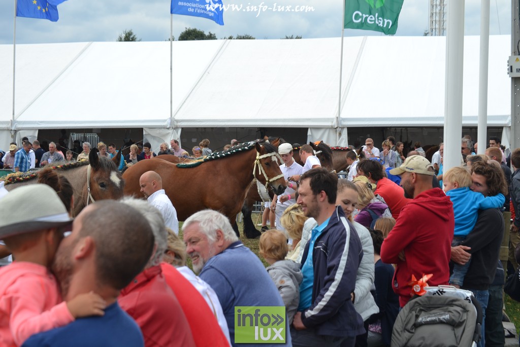 images/stories/PHOTOSREP/Libramont-Chevigny/Foire-libramont2/foirelibramont054