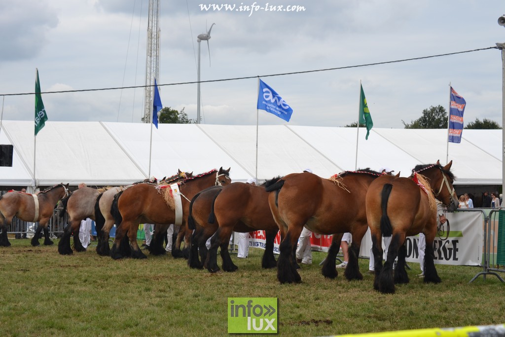 images/stories/PHOTOSREP/Libramont-Chevigny/Foire-libramont2/foirelibramont058