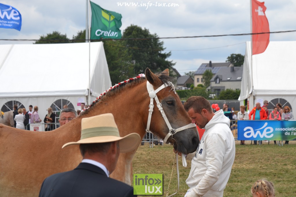 images/stories/PHOTOSREP/Libramont-Chevigny/Foire-libramont2/foirelibramont060