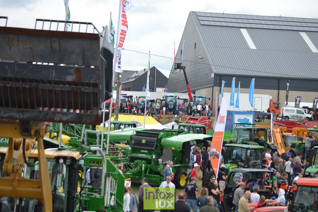 images/stories/PHOTOSREP/Libramont-Chevigny/Foire-libramont2/foirelibramont258